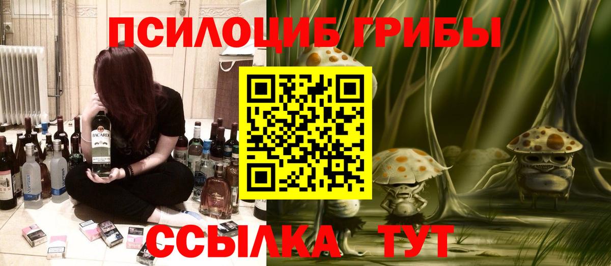 Галлюциногенные грибы Psilocybine cubensis  купить наркотик  Нижнекамск  Вход с VPN 